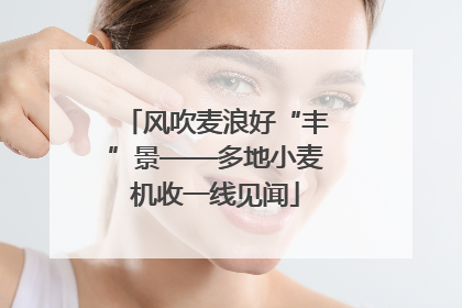 风吹麦浪好“丰”景——多地小麦机收一线见闻