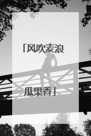 风吹麦浪 瓜果香