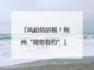 风起倩影摇！荆州“荷您有约”