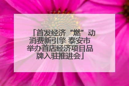 首发经济“燃”动消费新引擎 泰安市举办首店经济项目品牌入驻推进会