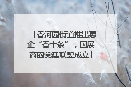 香河园街道推出惠企“香十条”，国展商圈党建联盟成立
