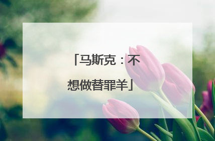 马斯克：不想做替罪羊
