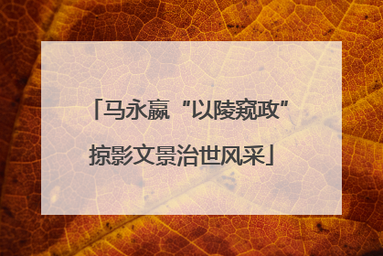 马永嬴“以陵窥政” 掠影文景治世风采