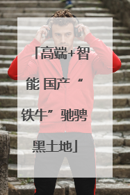 高端+智能 国产“铁牛”驰骋黑土地