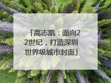 高志凯：面向22世纪，打造深圳世界级城市封面