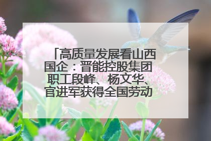 高质量发展看山西国企：晋能控股集团职工段峰、杨文华、官进军获得全国劳动模范荣誉称号