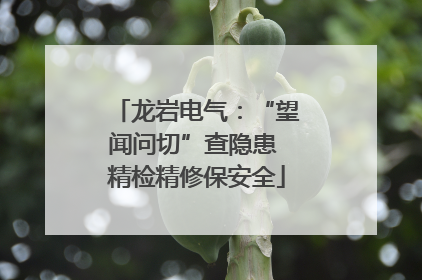 龙岩电气：“望闻问切”查隐患 精检精修保安全