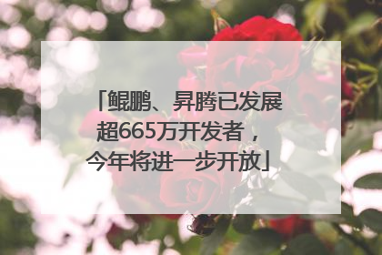 鲲鹏、昇腾已发展超665万开发者，今年将进一步开放