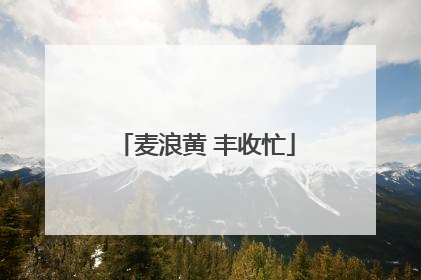 麦浪黄 丰收忙