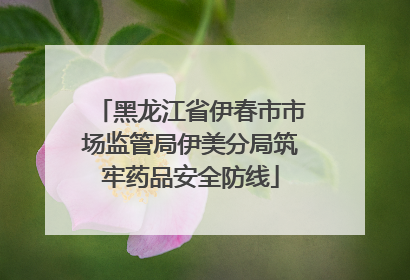 黑龙江省伊春市市场监管局伊美分局筑牢药品安全防线