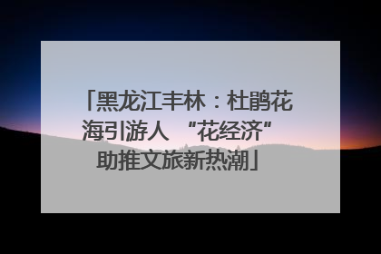 黑龙江丰林：杜鹃花海引游人 “花经济”助推文旅新热潮