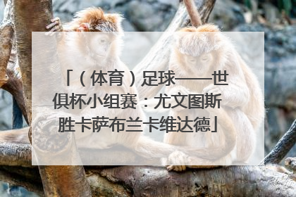 （体育）足球——世俱杯小组赛：尤文图斯胜卡萨布兰卡维达德