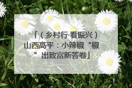 （乡村行·看振兴）山西高平：小辣椒“椒”出致富新答卷
