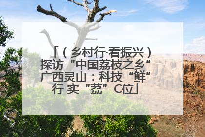（乡村行·看振兴）探访“中国荔枝之乡”广西灵山：科技“鲜”行 实“荔”C位