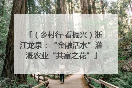 （乡村行·看振兴）浙江龙泉：“金融活水”灌溉农业“共富之花”
