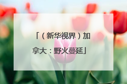 （新华视界）加拿大：野火蔓延