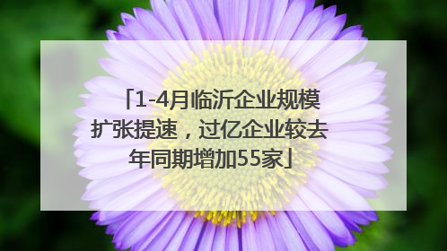 1-4月临沂企业规模扩张提速，过亿企业较去年同期增加55家