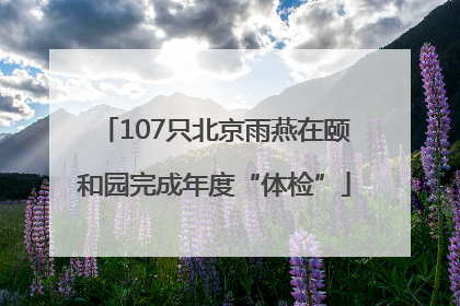 107只北京雨燕在颐和园完成年度“体检”