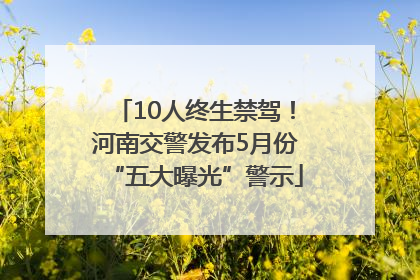 10人终生禁驾！河南交警发布5月份“五大曝光”警示