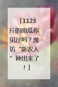 1123斤的南瓜你见过吗？潍坊“新农人”种出来了！
