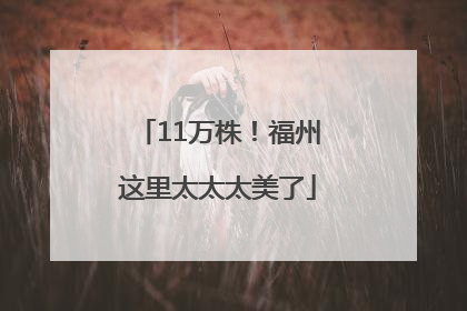 11万株！福州这里太太太美了