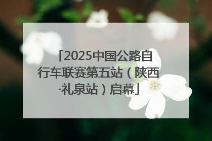 2025中国公路自行车联赛第五站（陕西·礼泉站）启幕