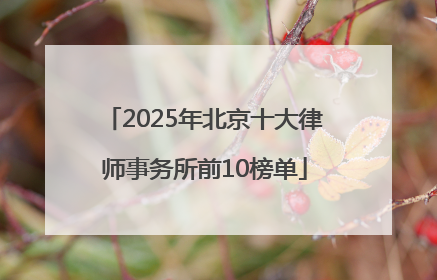 2025年北京十大律师事务所前10榜单