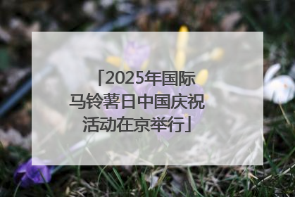 2025年国际马铃薯日中国庆祝活动在京举行