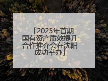 2025年首期国有资产质效提升合作推介会在沈阳成功举办