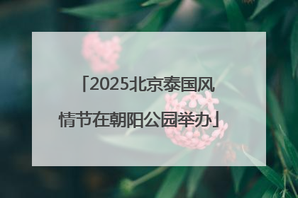 2025北京泰国风情节在朝阳公园举办