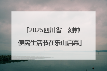 2025四川省一刻钟便民生活节在乐山启幕