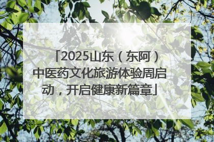2025山东（东阿）中医药文化旅游体验周启动，开启健康新篇章