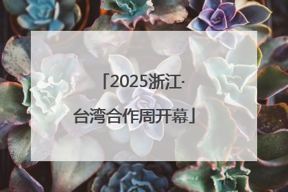 2025浙江·台湾合作周开幕