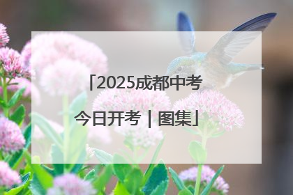 2025成都中考今日开考｜图集