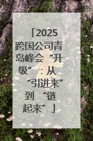 2025跨国公司青岛峰会“升级”：从 “引进来” 到 “链起来”