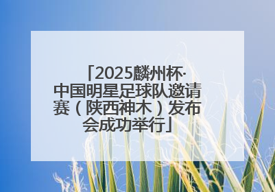 2025麟州杯·中国明星足球队邀请赛（陕西神木）发布会成功举行