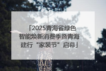 2025青海省绿色智能焕新消费季暨青海建行“家装节”启幕