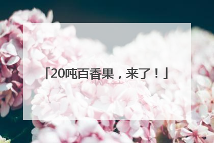20吨百香果，来了！