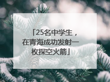 25名中学生，在青海成功发射一枚探空火箭
