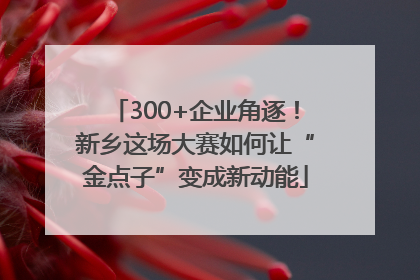300+企业角逐！新乡这场大赛如何让“金点子”变成新动能