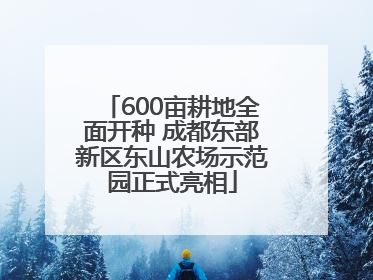 600亩耕地全面开种 成都东部新区东山农场示范园正式亮相