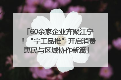 60余家企业齐聚江宁！“宁工品推”开启消费惠民与区域协作新篇