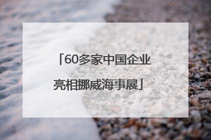 60多家中国企业亮相挪威海事展