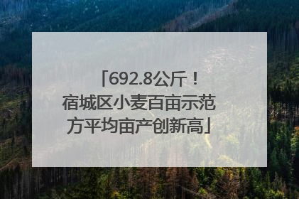 692.8公斤！宿城区小麦百亩示范方平均亩产创新高