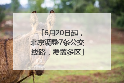 6月20日起，北京调整7条公交线路，覆盖多区