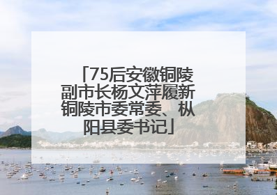 75后安徽铜陵副市长杨文萍履新铜陵市委常委、枞阳县委书记