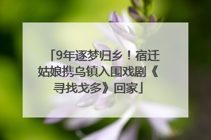 9年逐梦归乡！宿迁姑娘携乌镇入围戏剧《寻找戈多》回家