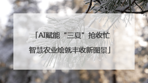 AI赋能“三夏”抢收忙 智慧农业绘就丰收新图景