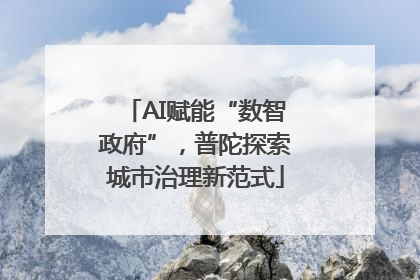 AI赋能“数智政府”，普陀探索城市治理新范式