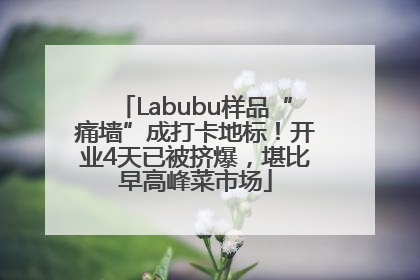 Labubu样品“痛墙”成打卡地标！开业4天已被挤爆，堪比早高峰菜市场